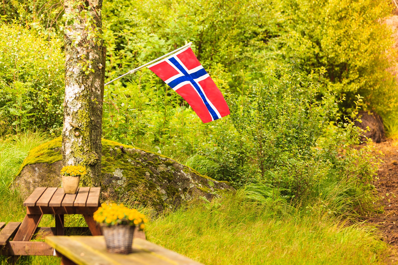 picnic table with norwegian flag